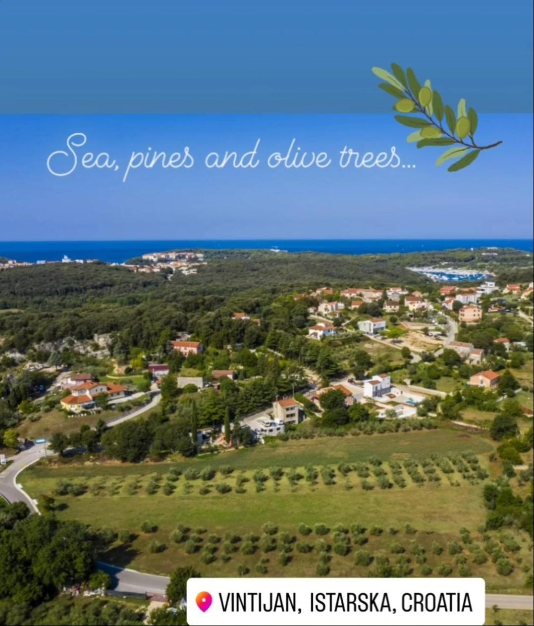 Apartments Flora Медулин Экстерьер фото